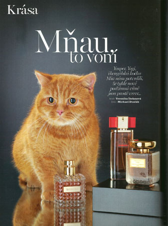 MARIE-CLAIRE-October-Terryfic-Oud-L´Eau